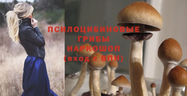 марки nbome Беломорск
