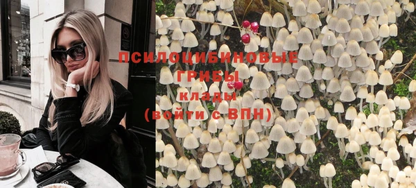 амфетамин Белокуриха