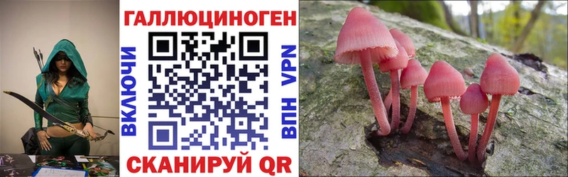 где купить наркоту  МЕГА зеркало  Галлюциногенные грибы Psilocybe  Вязьма 
